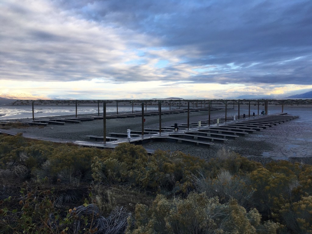 Photo of marina slips resting on the mud