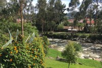 photo of river rapids, trees, and a green bush with orange flowers