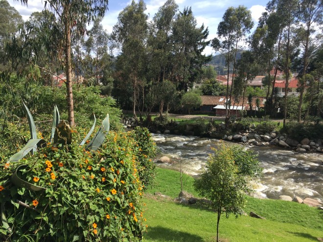 photo of river rapids, trees, and a green bush with orange flowers