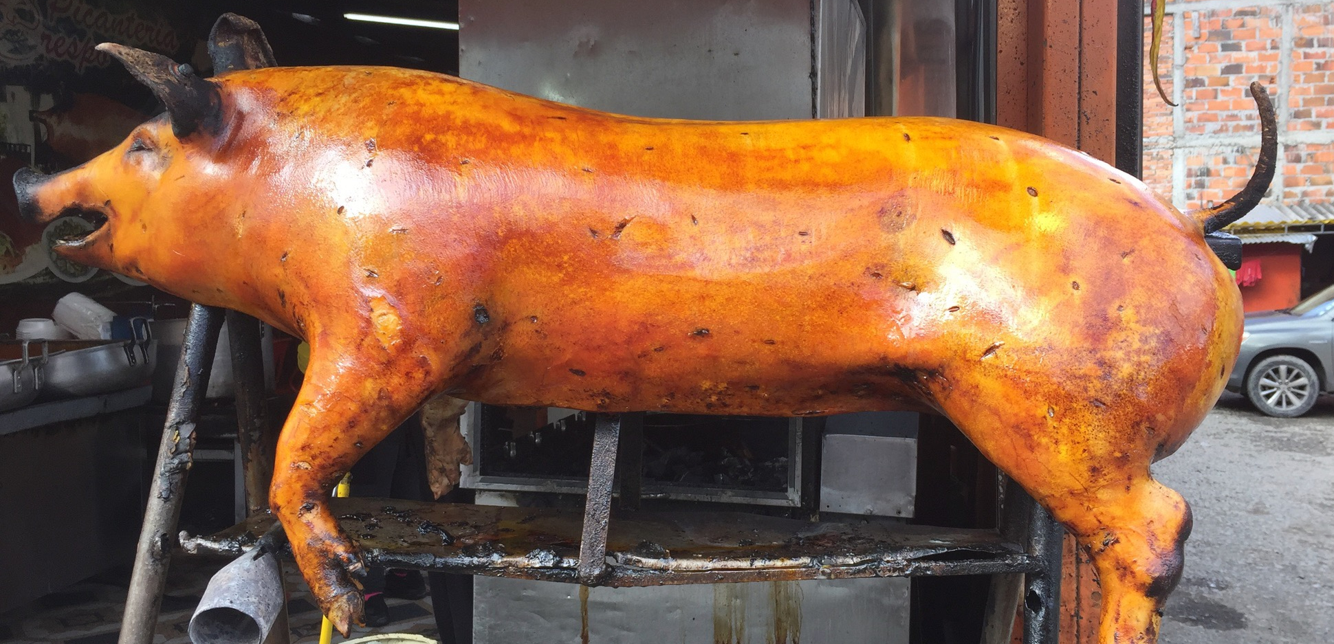 photo of an entire roasted pig