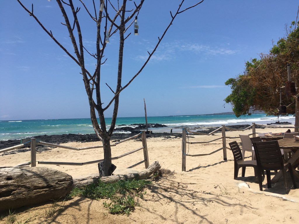 photo of a table and chairs on a sandy beach with one leafy tree and one bare-branched tree in the foreground and teal-to-blue ocean and clear blue sky in the background.