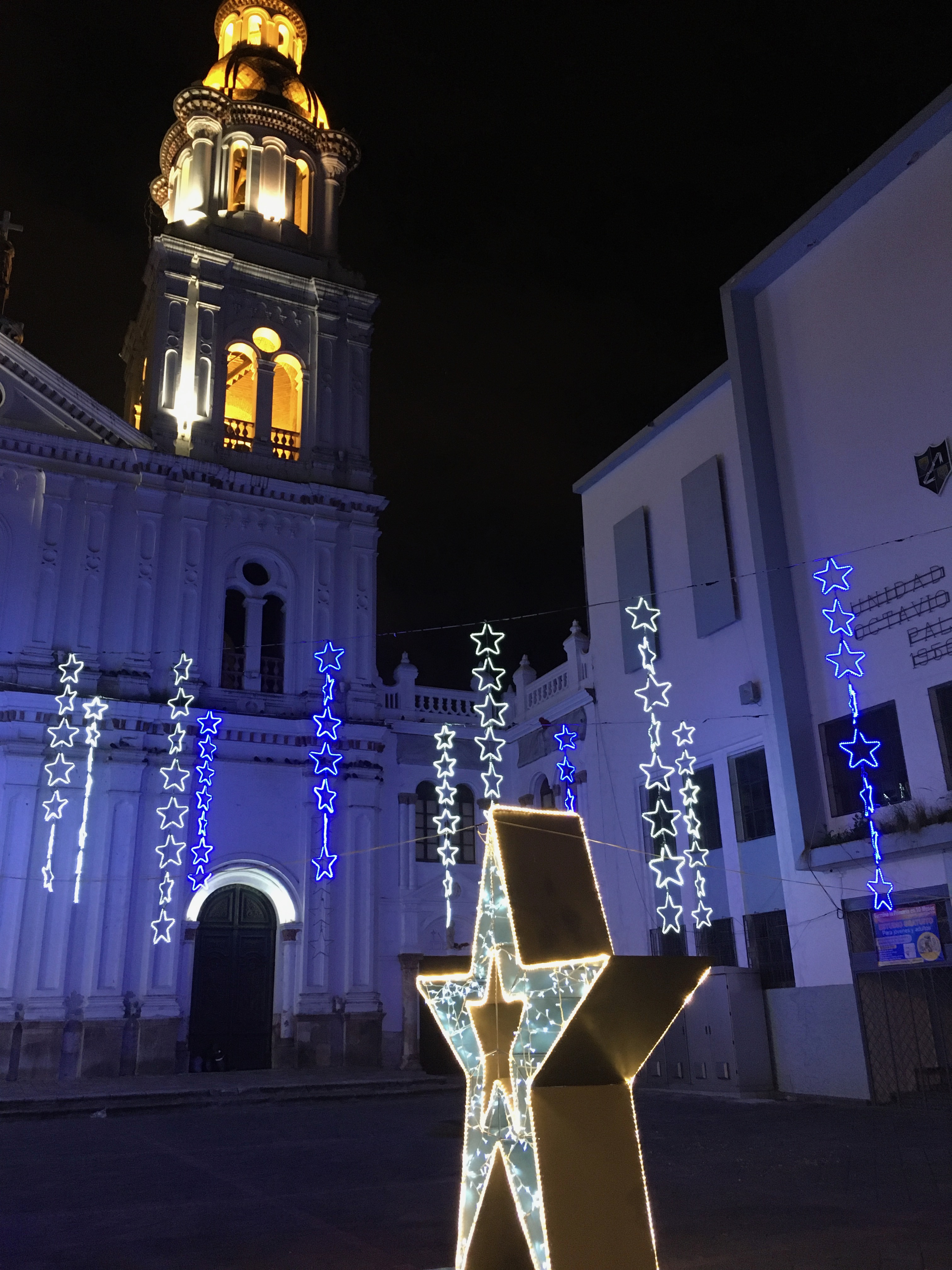 Photo of a white star in the foreground with a lit cathedral in the background.