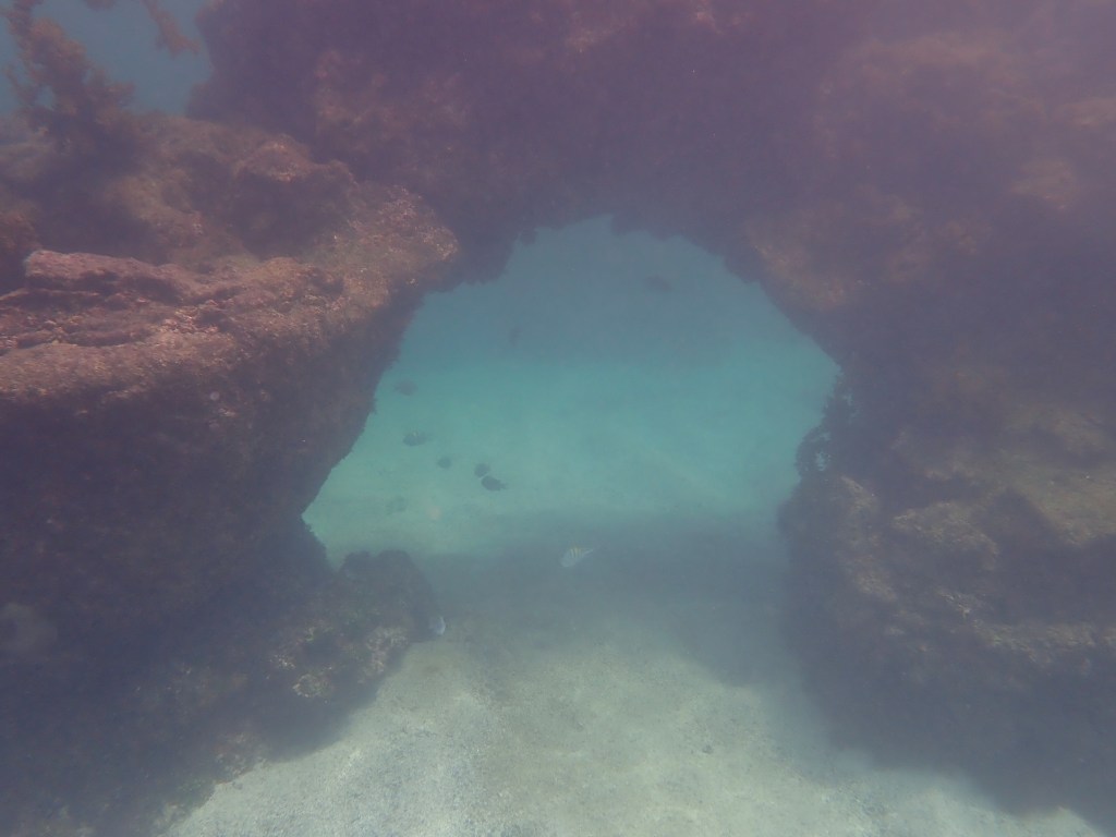 Photo of an underwater tunnel through brown rocks, with fish swimming through it and a sandy bottom.