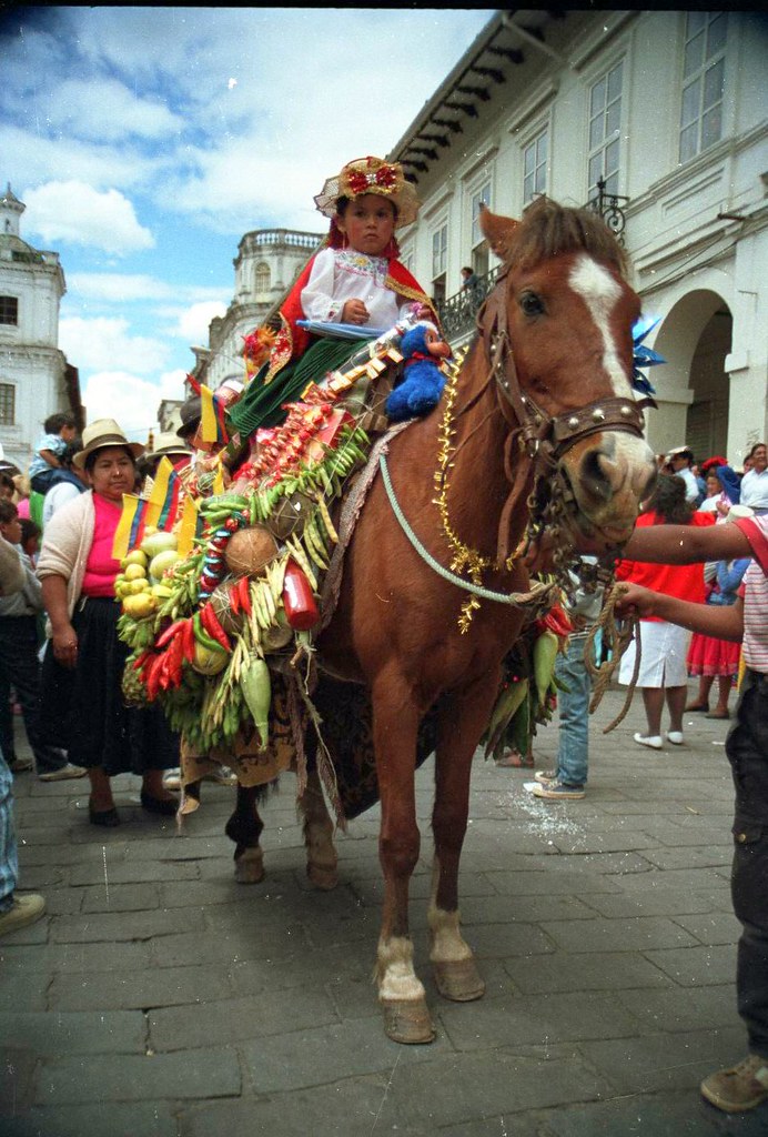 Photo of a decorated horse in a parade bearing a young child in red, white, and green dress and a festive hat.