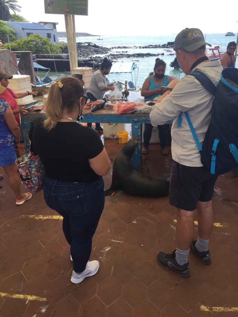 photo of people standing at an open-air fish market on a harbor while women scrape and bag fish and a sea lion sits up at the edge of the table.