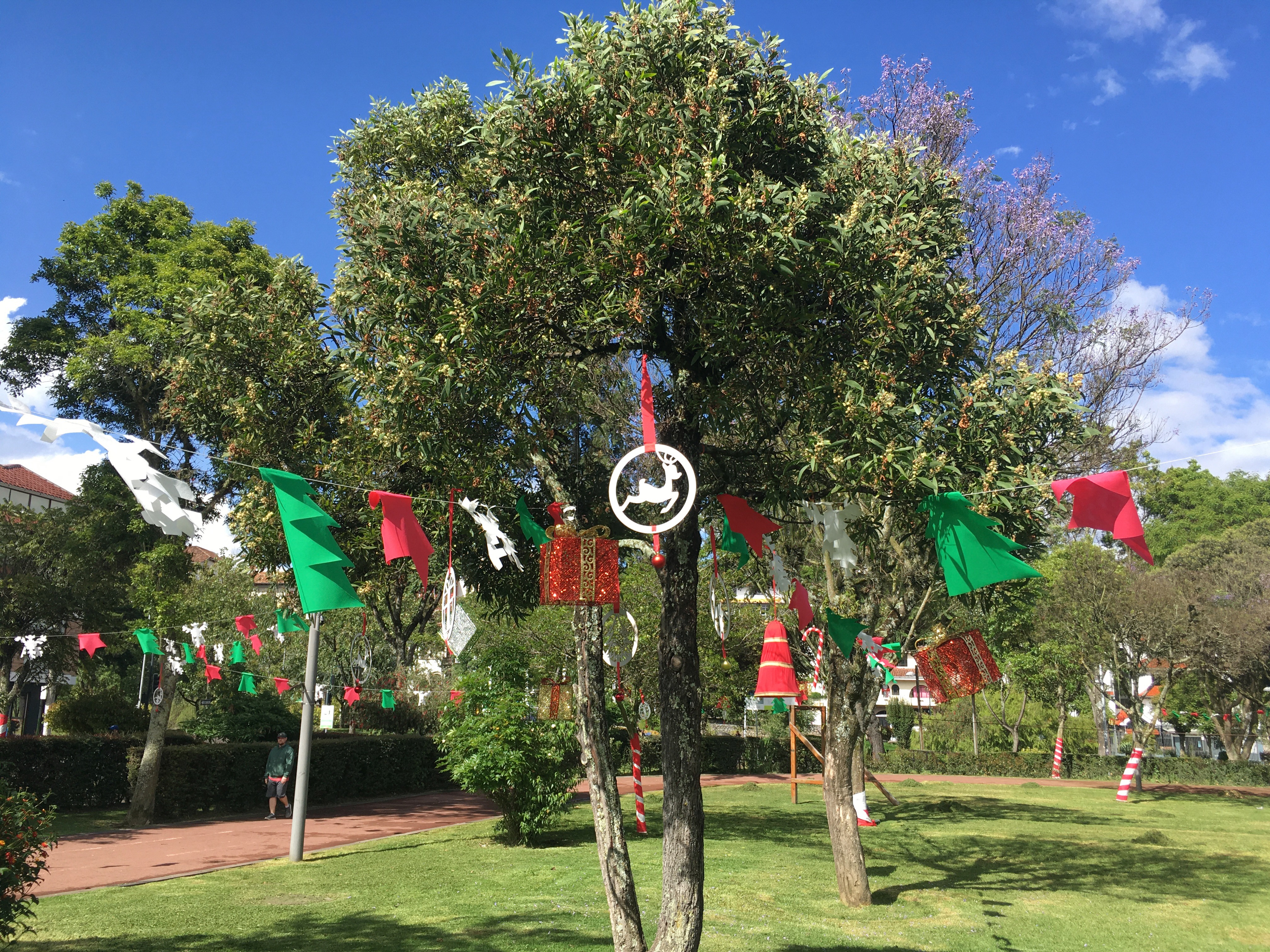 Photo of leafy green trees against a blue sky with red and green flags and other decorations strung between them.