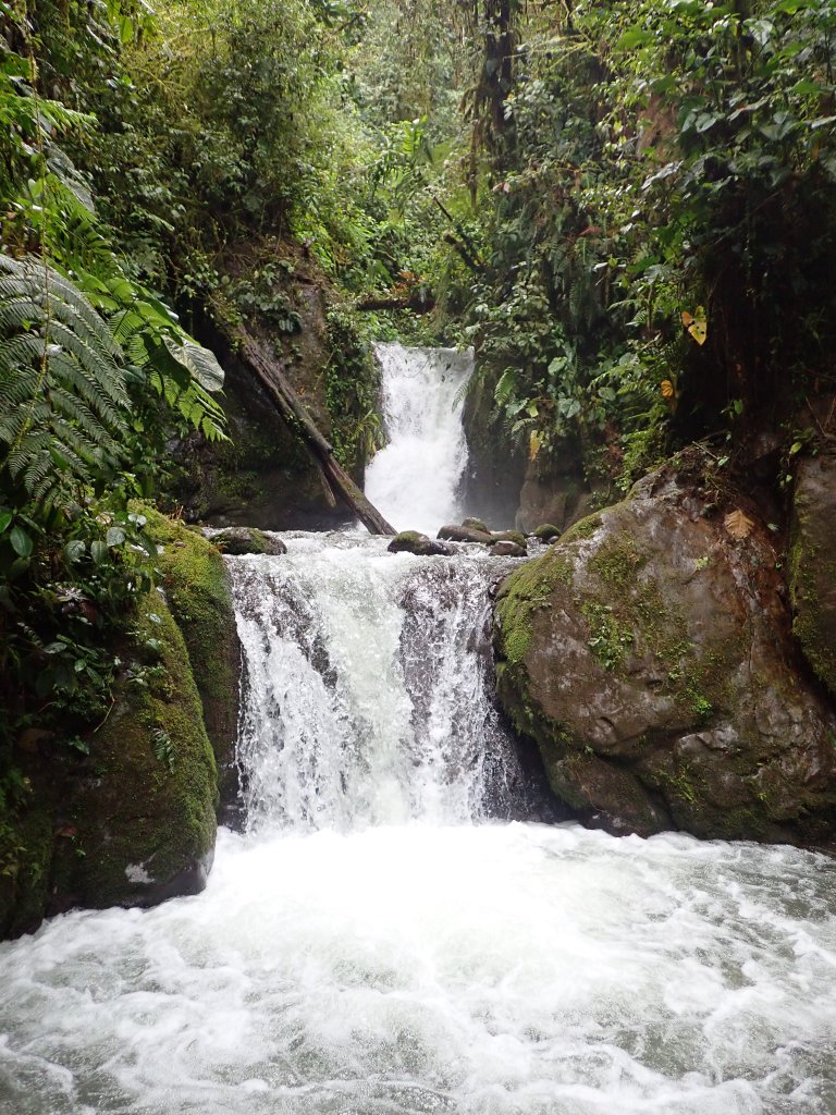 photo of a three-tiered waterfall surrounded by leafy green trees, pouring over gray-green rocks into a bubbling grotto.
