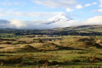 photo of a snow-capped peak rising above low-lying clouds. In front are rolling green fields, a fence, and grazing llamas.