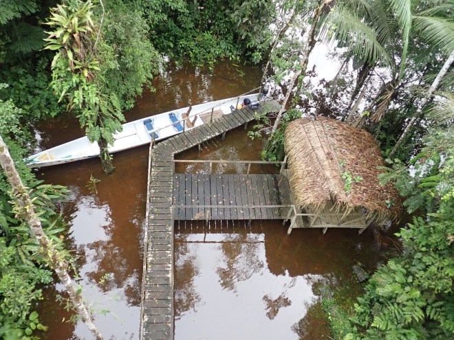 Photo from above, looking down on a long, narrow, white canoe next to a brown dock attached to a thatched-roof hut, sitting on reflecting, brown water and surrounded by leafy trees.