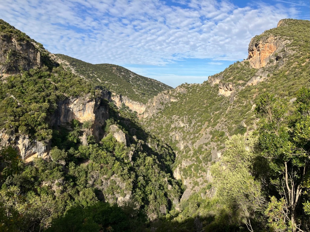 Photo of steep tree-covered mountains with rocky cliffs and a blue sky behind.