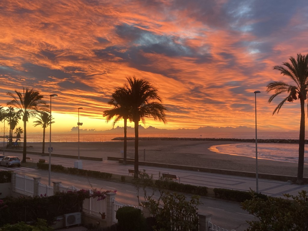 photo of dramatic orange clouds across the sky, with a bright yellow stripe on the horizon, misty ocean, sandy beach, and shadowy palm trees in the foreground