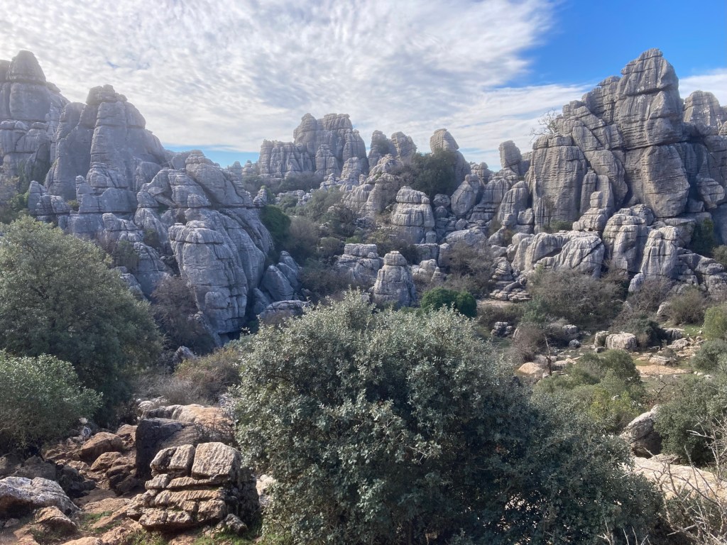 photo of jagged, rugged, craggy rock formations jutting up out of a valley with more rocks and a few scraggly green bushes.