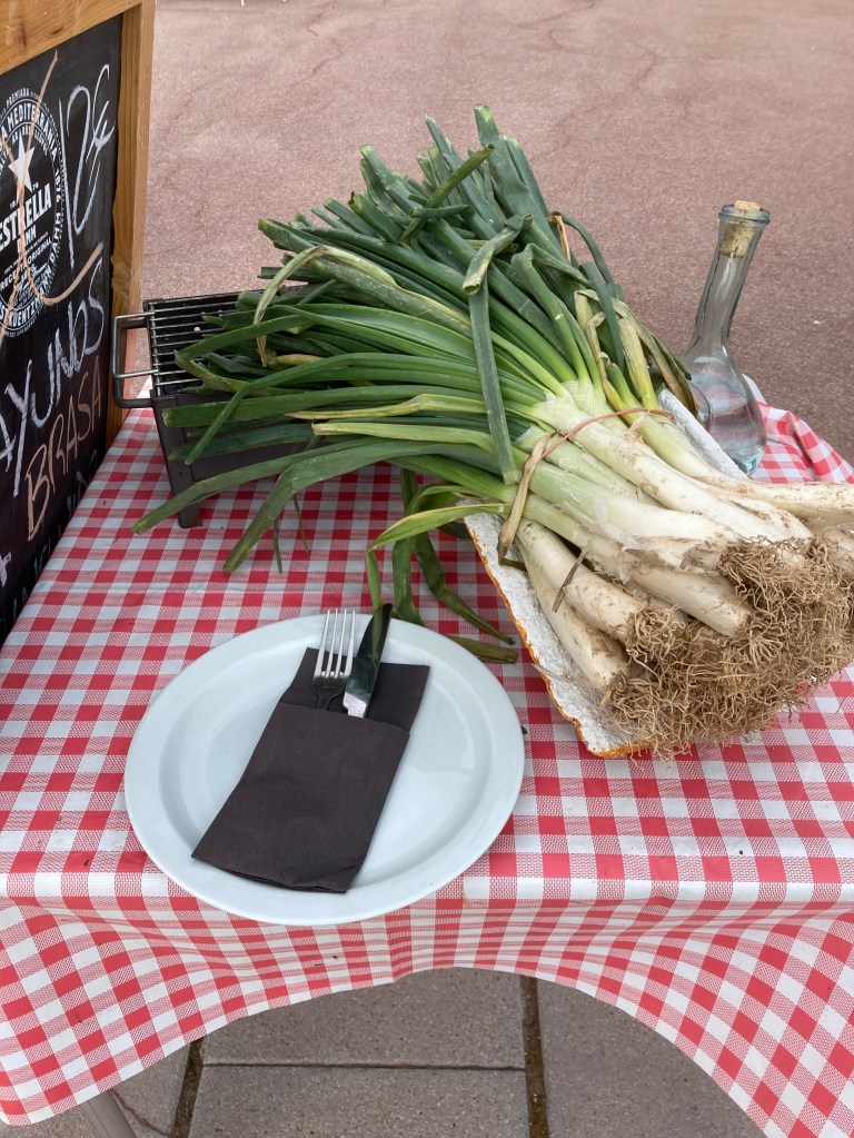 photo of a pile of freshly cut leeks on a table with a red and white checked table cloth and a white plate