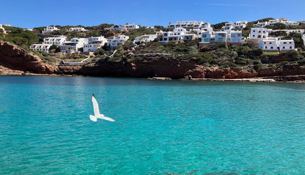 photo of a village with white buildings clustered on a green hillside above turquoise waters, with a white seagull flying in the foreground