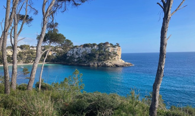 photo of white cliffs surrounding turquoise waters with thin gray trees and green scrub brush in the foreground and white houses atop the cliffs