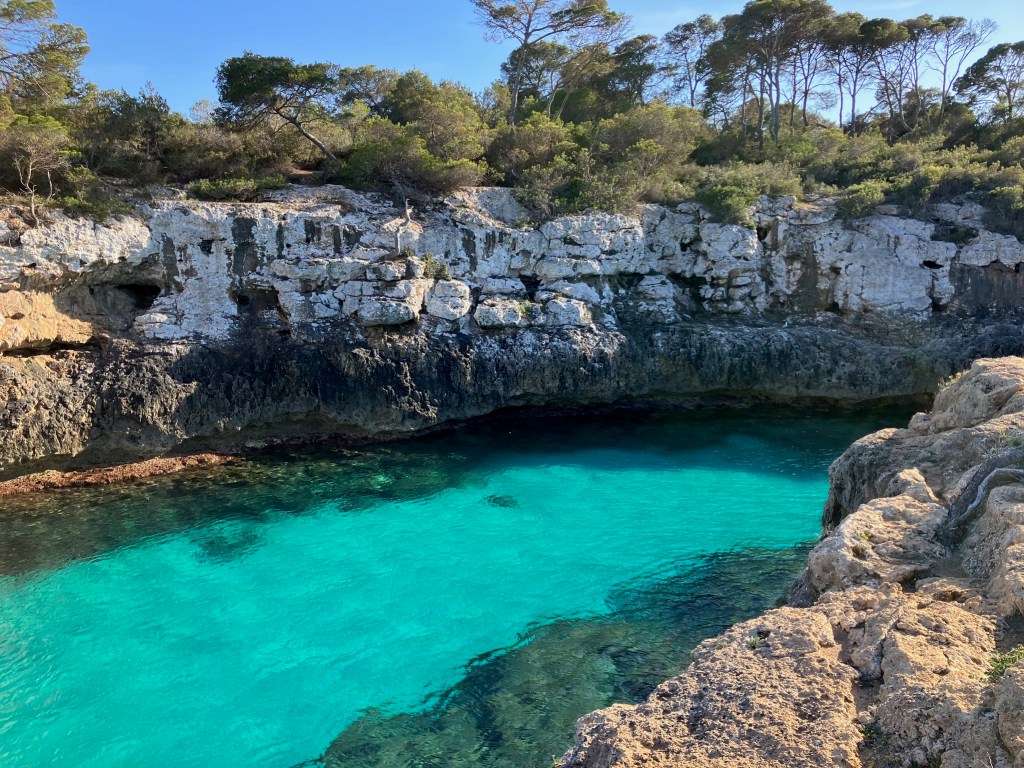 photo of an island cove on an island in the Mediterranean showing aquamarine water against white cliffs capped by green trees.