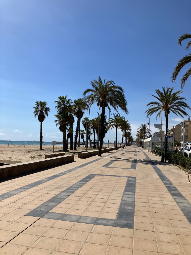 photo of a tiled walkway between palm trees, with beach and ocean on the left and no one walking on it.