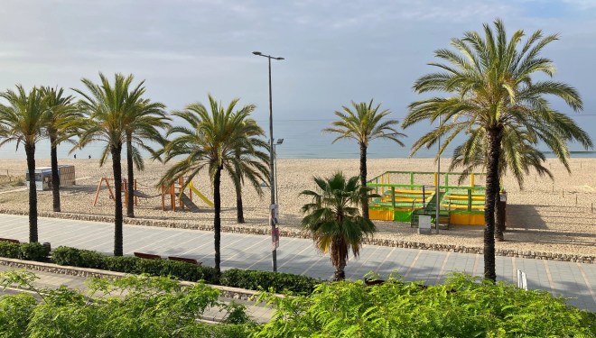photo of palm trees lining a walkway next to a beach with a streetlight in between them and a green and yellow structure on the beach