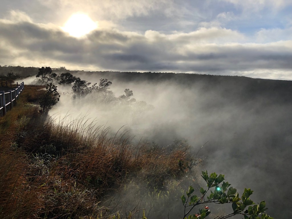 photo of a pale sun illuminating steam pouring out of the grassy ground amid nearby small trees