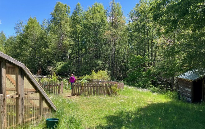 photo of tall grass with a wood-frame greenhouse on the left, a small wooden shed on the right, and in the middle a wood picket fence surrounds green bushes and a person wearing a pink shirt and hat, with tall leafy trees and a blue sky in the background