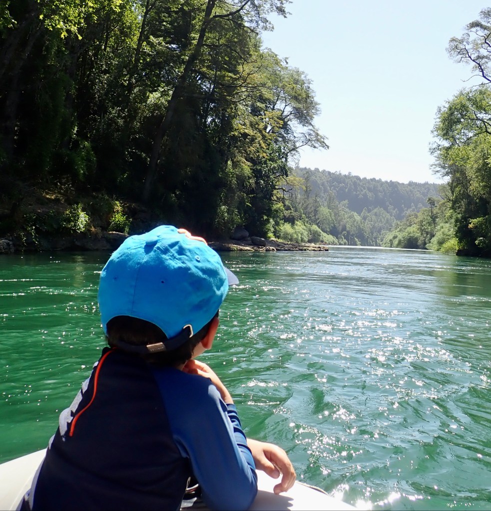 photo of the back of a young boy's head, wearing a blue baseball cap, leaning on the front of a raft and looking ahead, down a wide green river with green leafy trees on either side.
