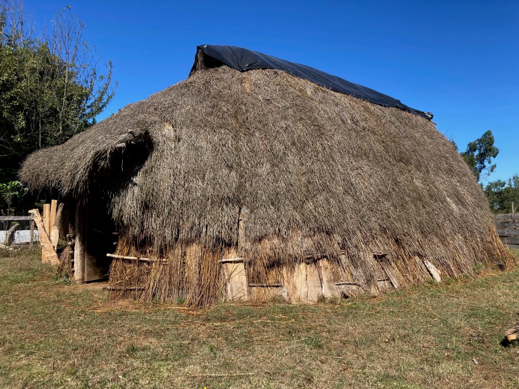 Photo of a large, brownish gray, thatched-roof hut, long and oval, with a raised door.