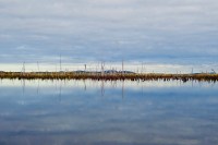 wide angle photo of a brown strip of land on the horizon with gray spikes of dead trees jutting up. Gray, white and blue clouds fill the sky overhead and are reflected in still water below