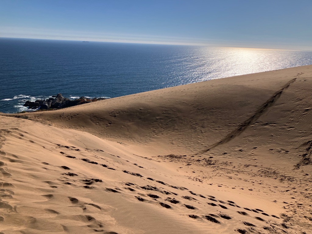 photo of curved hills of sand, pocked with footprints, with the ocean gleaming in the sun behind