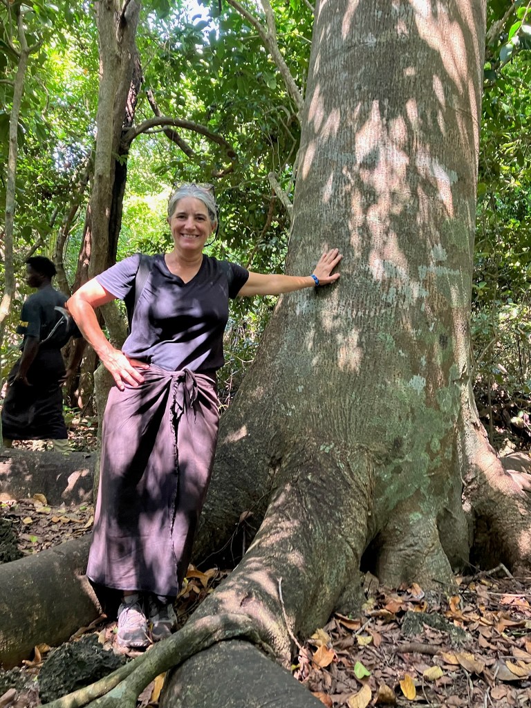 Photo of Rachel wearing a black skirt-wrap and purple t-shirt, standing between the large roots of a gray tree while leaning with one hand on its trunk