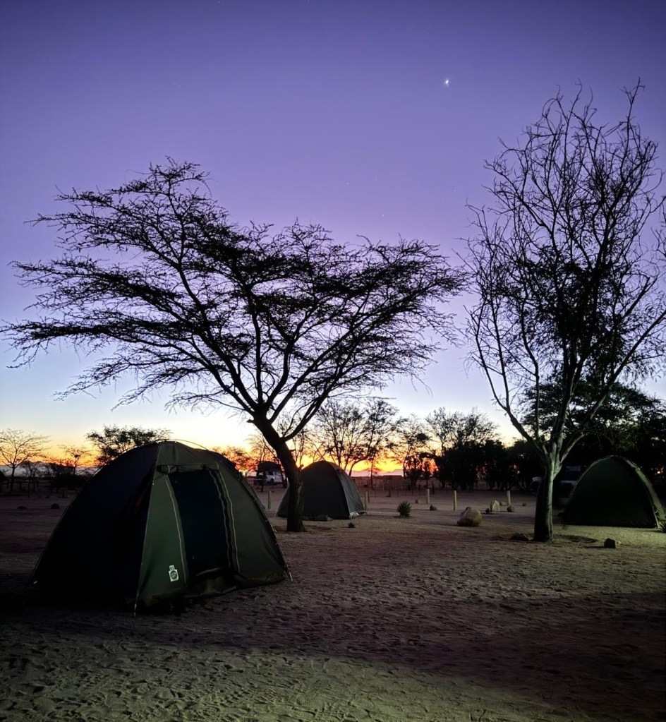 photo of dome tents at dusk with two trees silhouetted against an orange sunset and indigo night sky above