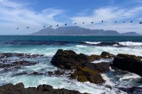 photo of a distant flat-topped mountain with buildings at the bottom, looking across green-blue ocean and white waves on jagged dark rocks, with a line of birds flying across