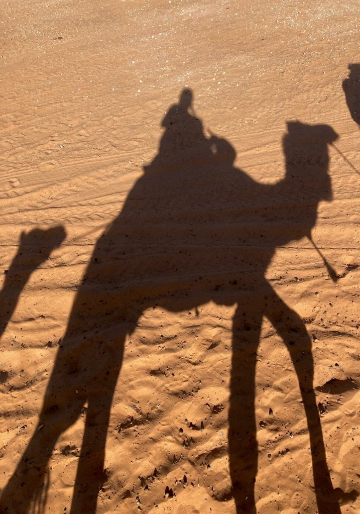 photo of the shadow of a person sitting on top of a one-hump camel reflected on sand