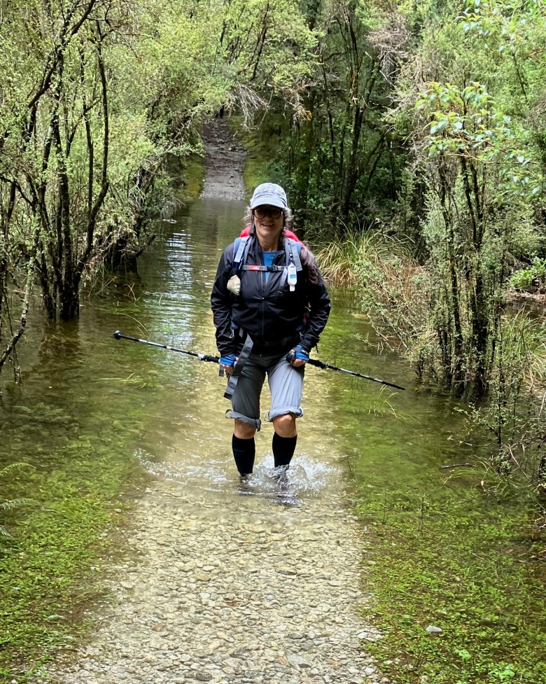 photo of a woman with rolled-up gray pants wading through shin-deep water covering a gravel trail between brushy trees
