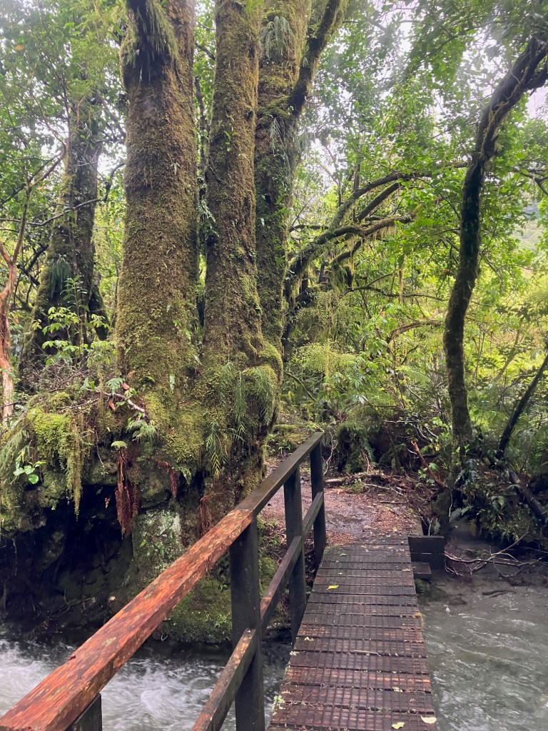 photo of a wet, brown wooden bridge crossing a whitewater river with moss-covered trees on the other side