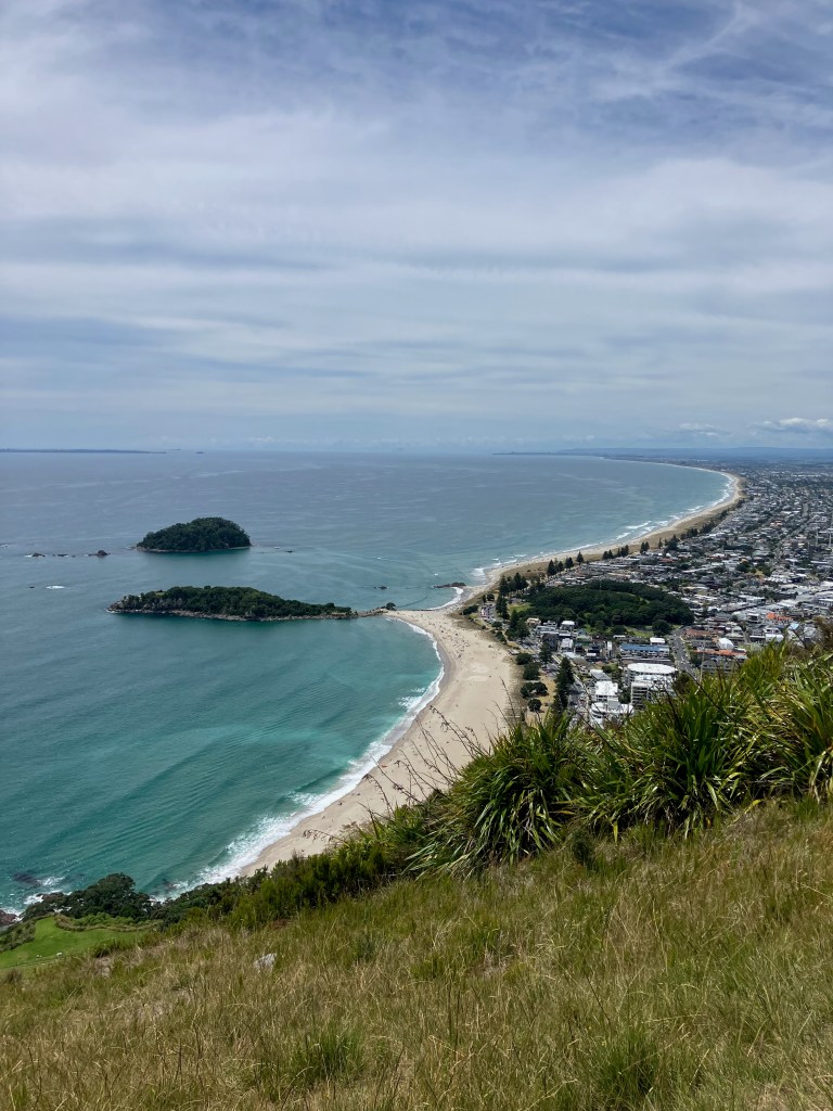 photo from above of a long yellow-sand beach, green-blue ocean with white waves and a spit of rocky land