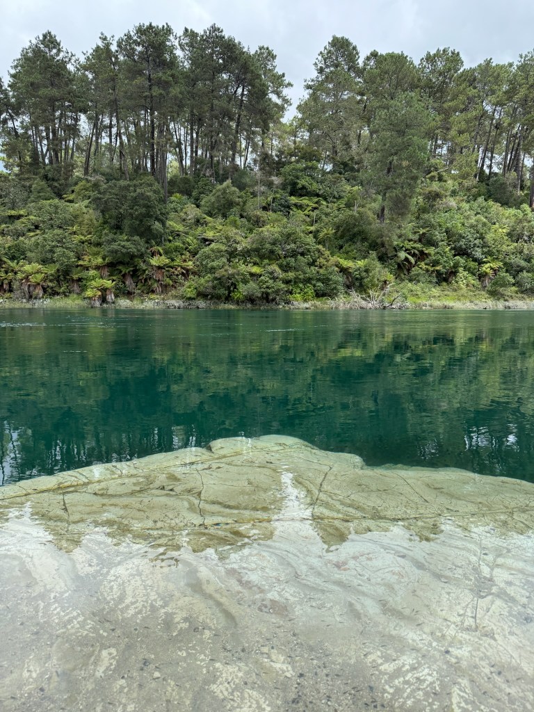 photo of clear water with white rocks seen through it and trees reflected in its surface