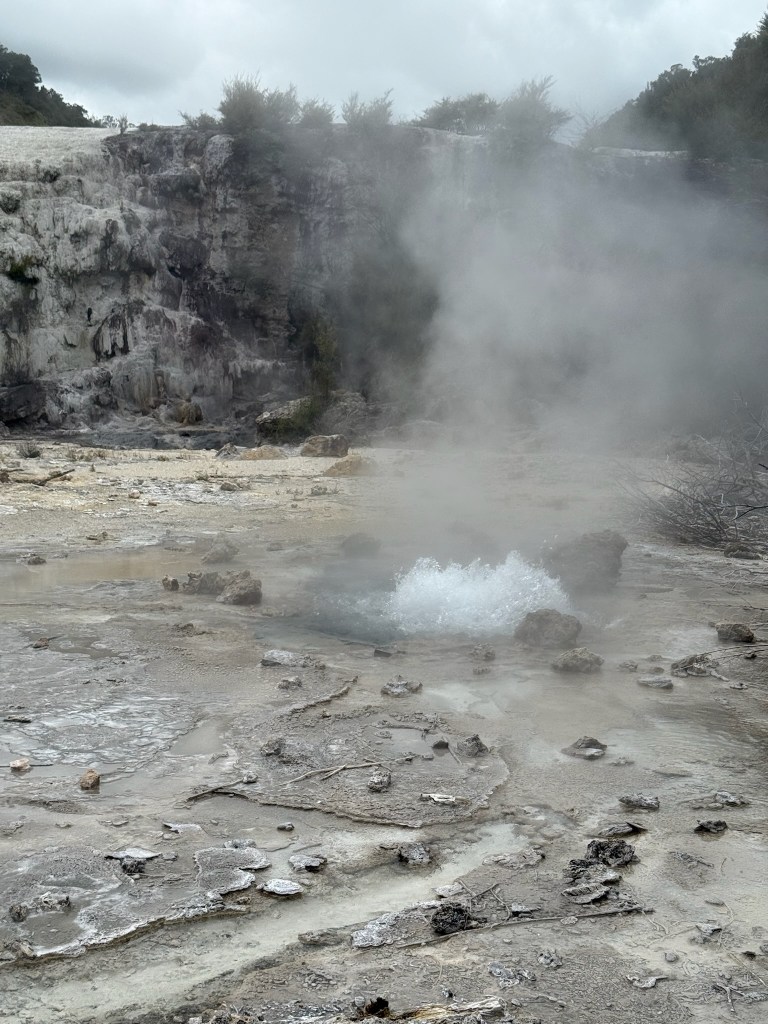 photo of water bubbling out of the brown ground and steam above it