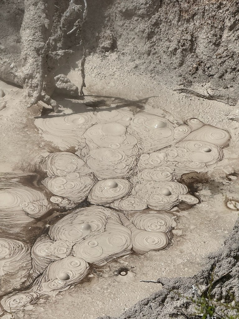 photo of a brown mud pool with 6 bubbles popping out of the surface