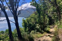 photo of a dry gravel trail running alongside blue sparkly water with mountains in the background and leafy green trees on either side