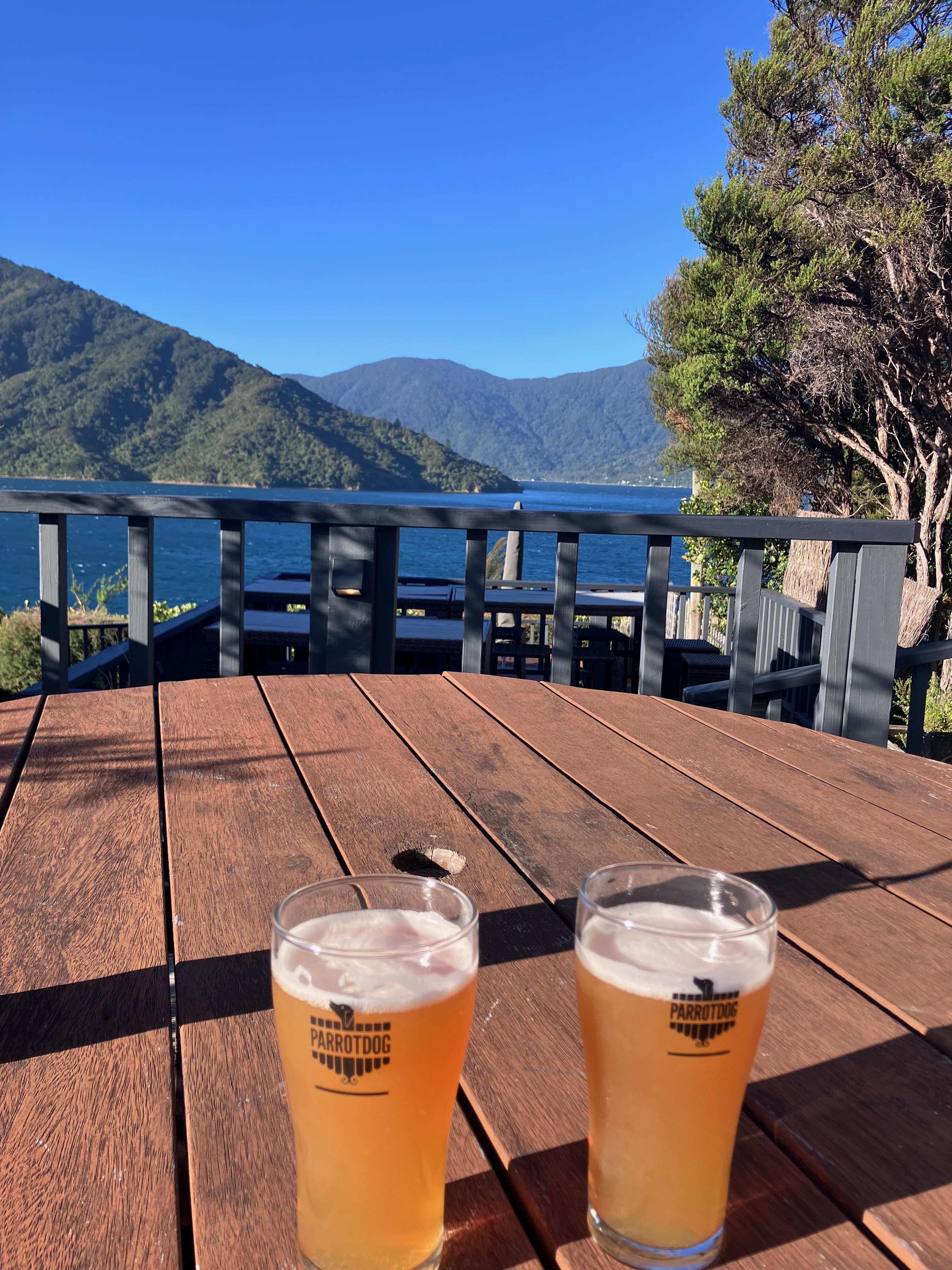 photo of two full beer glasses on a brown picnic table with a blue lake, green leafy tree, and mountains in the background