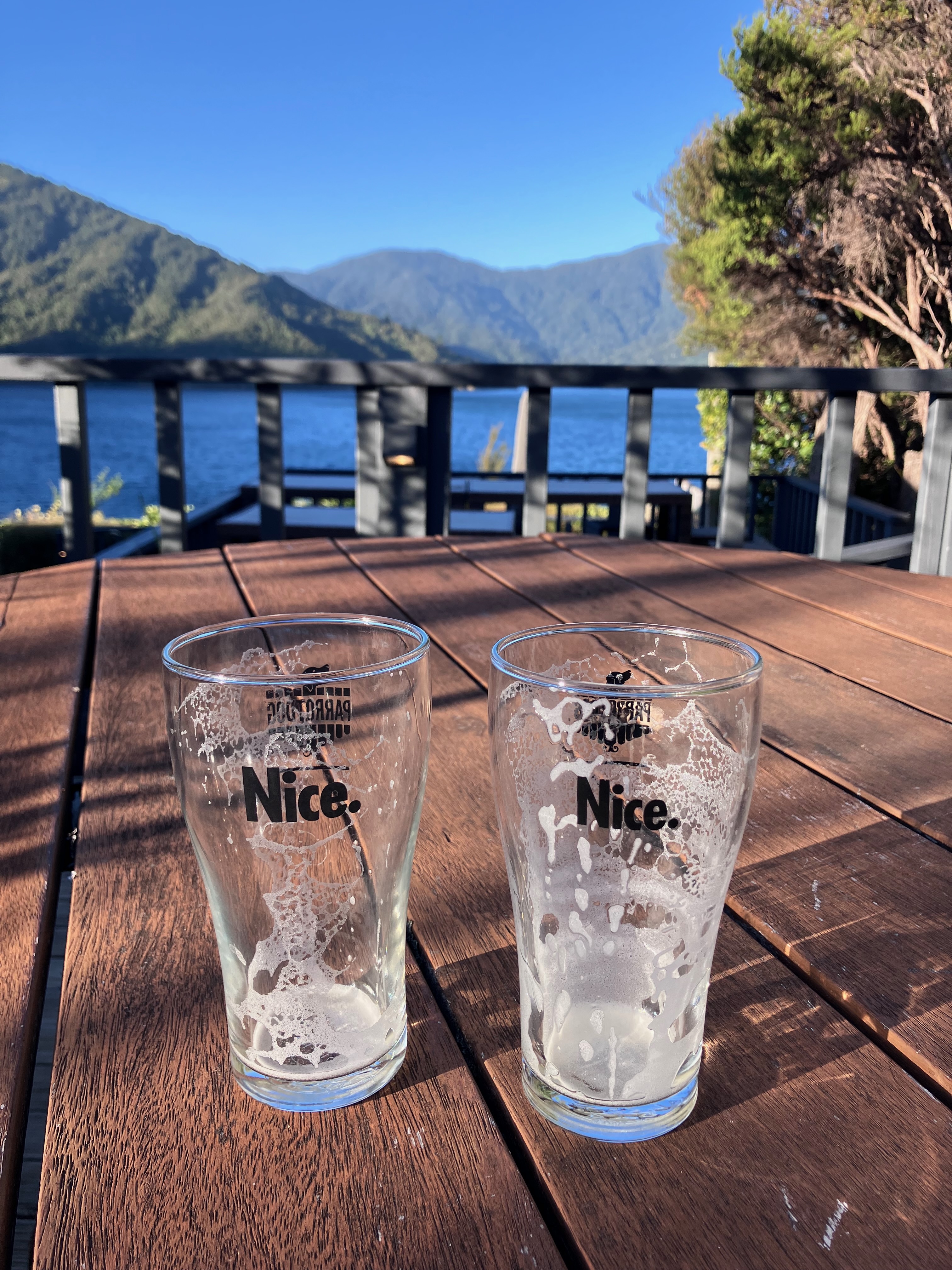 photo of two empty beer glasses on a brown picnic table with a blue lake, green leafy tree, and mountains in the background