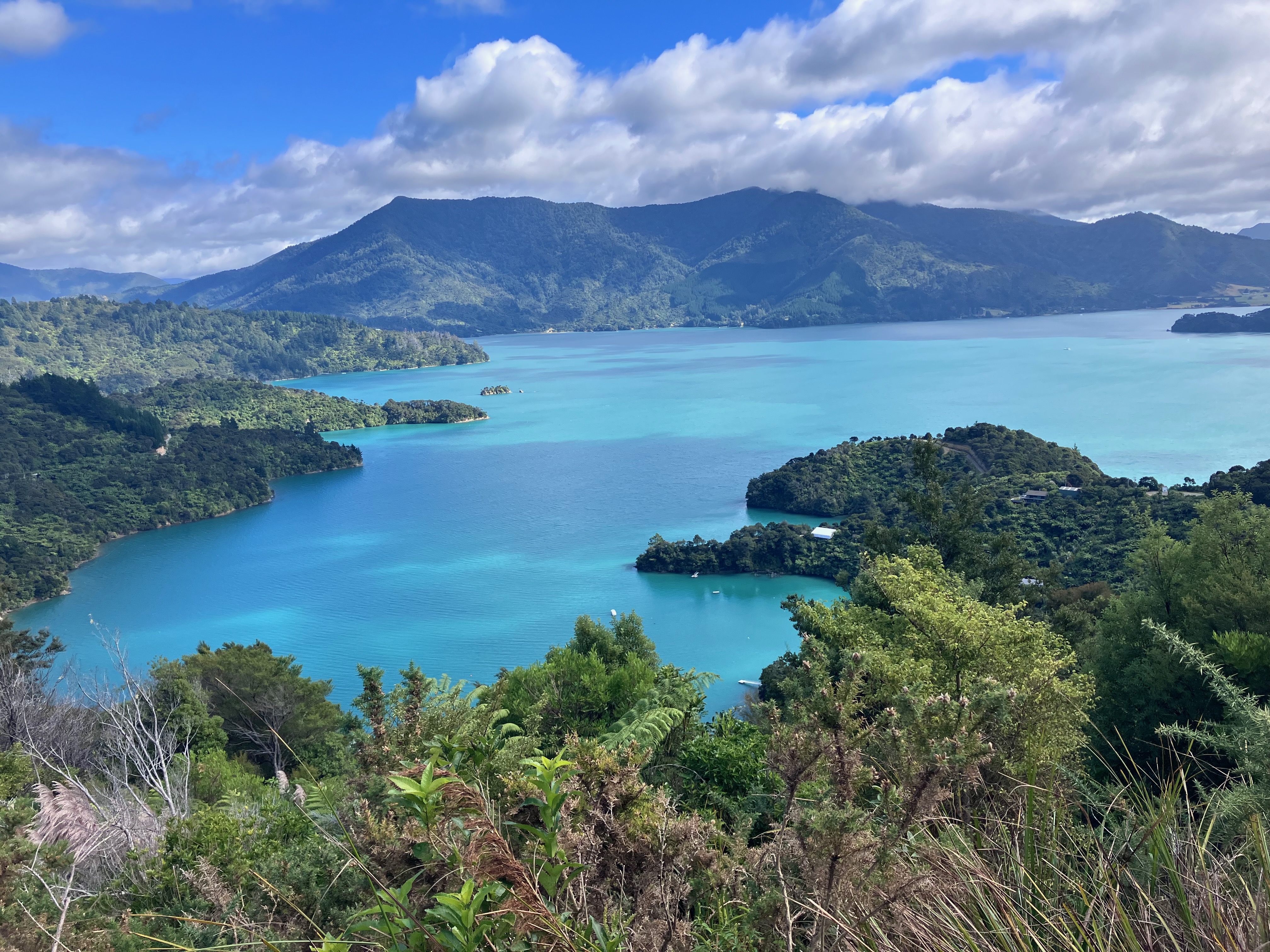 photo of a mottled green-blue body of water surrounded by green hills and puffy white clouds amid a blue ski