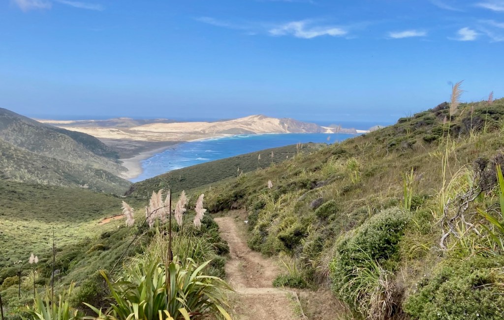photo of a dirt trail leading across a green hillside with the ocean and a wide expanse of sand dunes in the distance