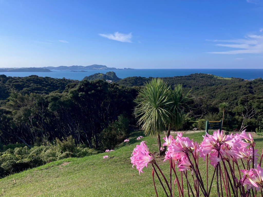 photo of pink flowers and a palm treen on a grassy hill overlooking forest and the ocean in the distance