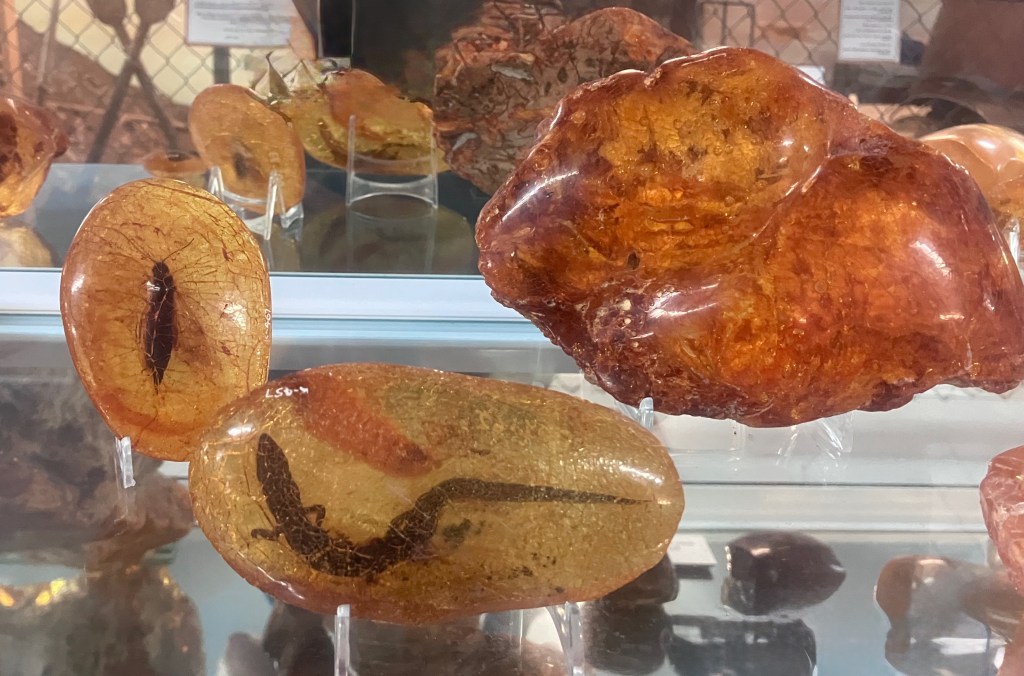photo of three amber-colored blobs on a glass counter, two of which have insects of lizards inside