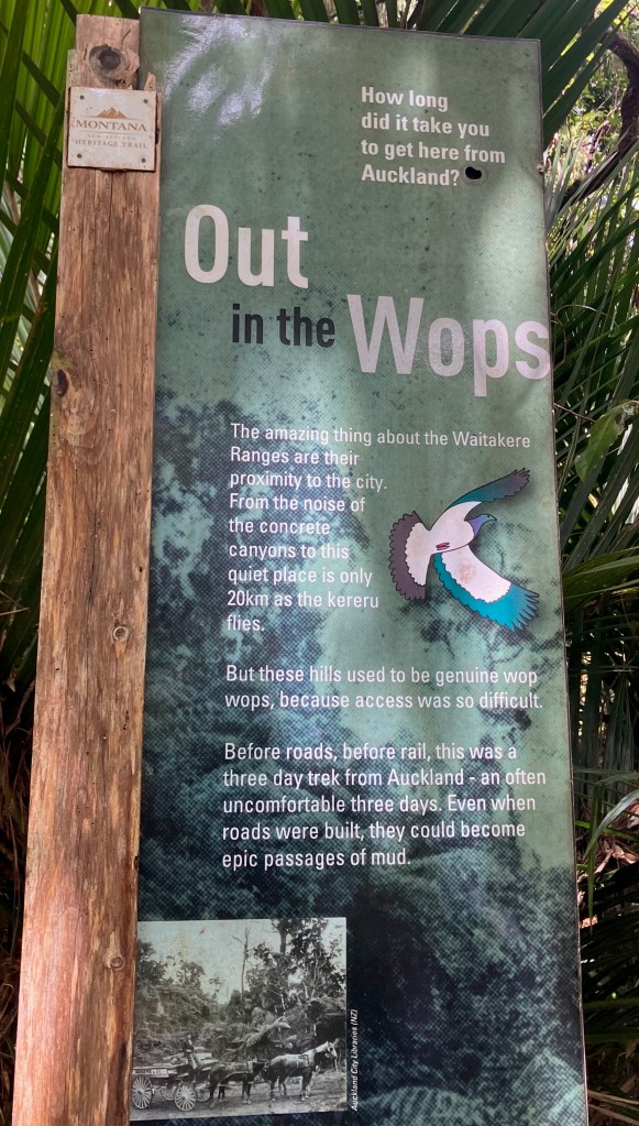 photo of a green signpost with the headline "Out in the Wops"