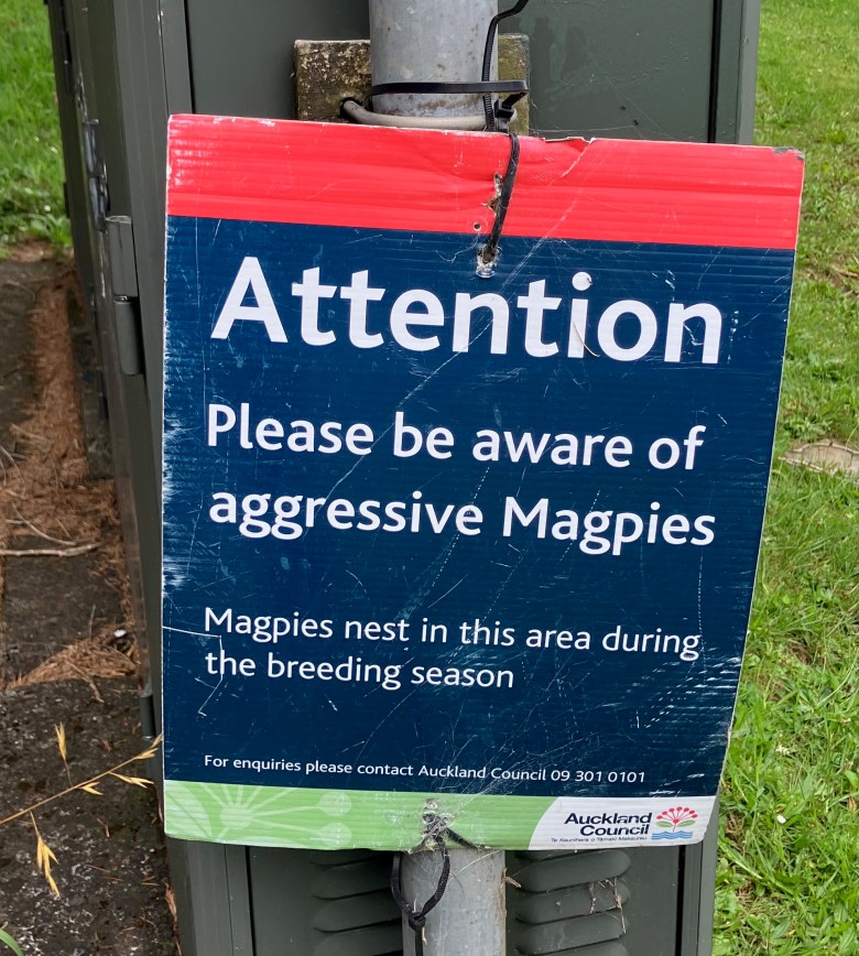 photo of a blue and white sign reading Attention: Please be aware of agressive Magpies
