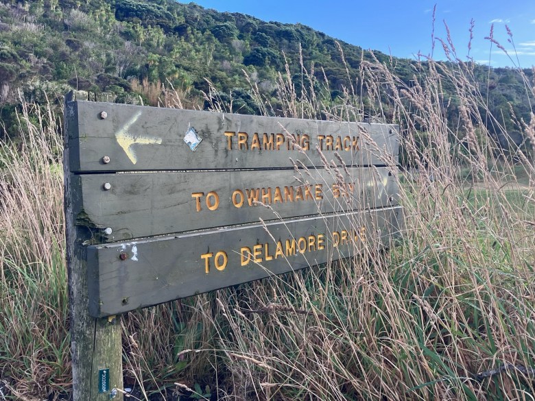Photo of a brown and yellow wooden sign with an arrow pointing to "TRAMPING TRACK", set amidst tall grass with green hills in the background