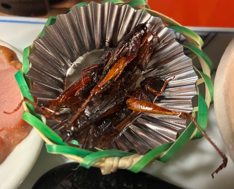 close-up photo of two dark brown, shiny crickets in a silver foil basket