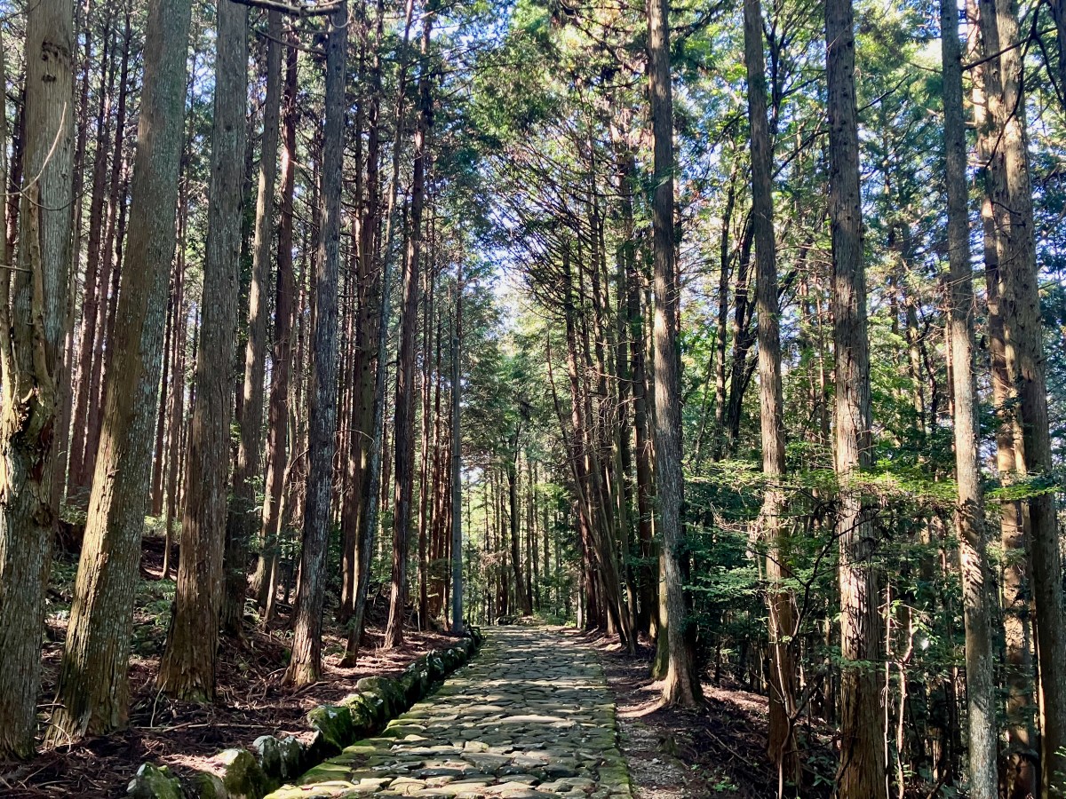 Samurai Road